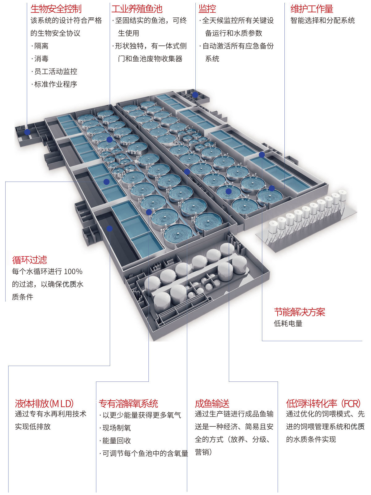 陆基循环水养殖系统